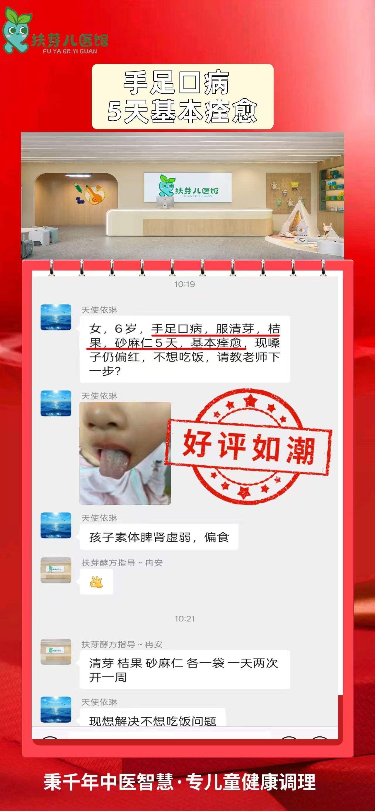 发酵方案例分享