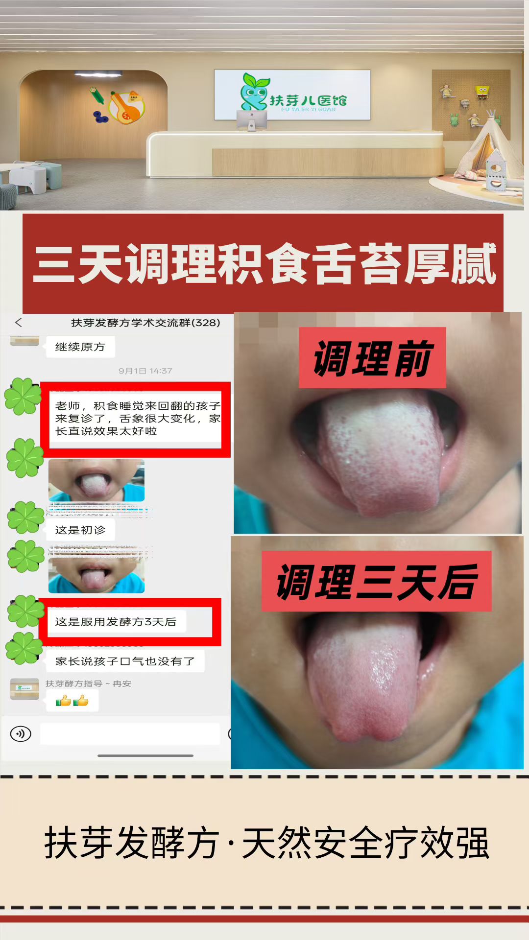 发酵方案例分享